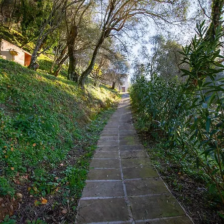 Al Pozzo By Interhome * Santa Lucia (Lucca)